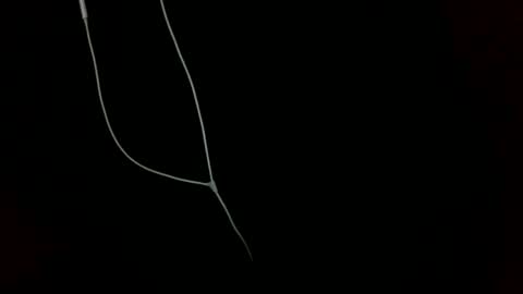 doctor_luv_69 online show from January 1, 9:20 pm