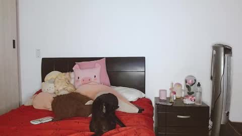 Snapshot of doll_and_sex chatting on February 24, 3:55 am Auro and Santiago online show from February 24, 3:55 am