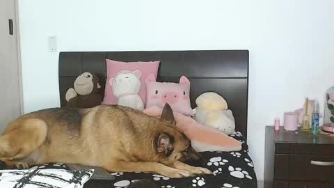 Snapshot of doll_and_sex chatting on March 4, 2:49 am Auro and Santiago online show from March 4, 2:49 am