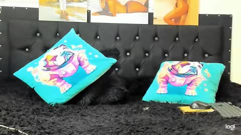 C E L E S T E  online show from December 22, 4:06 pm