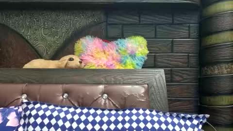 Snapshot of dollmeenu chatting on November 21, 6:45 am dollmeenu online show from November 21, 6:45 am