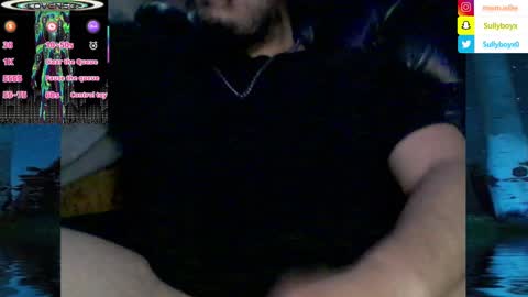 Snapshot of domanarchist chatting on January 29, 8:40 am Sullyboyx online show from January 29, 8:40 am