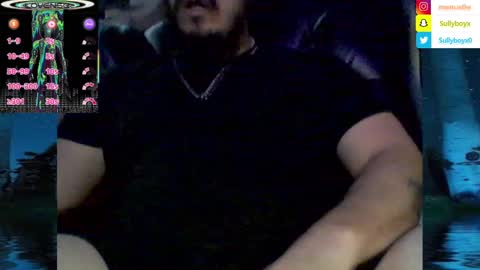 Snapshot of domanarchist chatting on February 8, 5:40 am Sullyboyx online show from February 8, 5:40 am