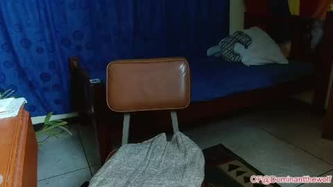 Logan - INDEPENDET MODEL online show from May 11, 5:46 am
