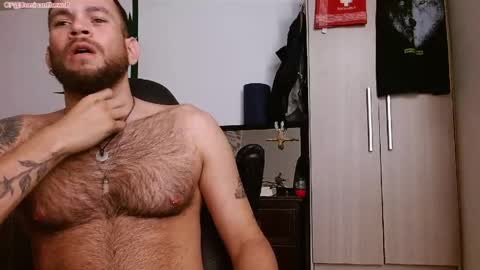 Logan - INDEPENDET MODEL online show from May 24, 7:24 am