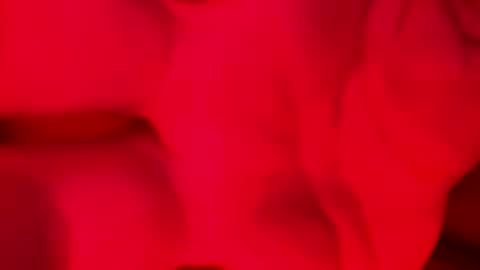 Alzest online show from November 17, 2:06 am