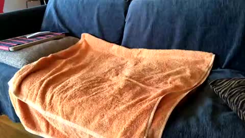 Alfredo online show from February 7, 8:55 am