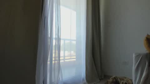 Donatella online show from February 10, 12:08 pm