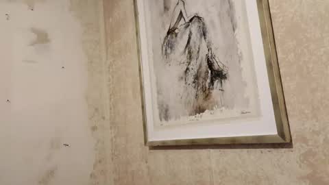 Snapshot of donwyan4 chatting on November 20, 11:10 am donwyan4 online show from November 20, 11:10 am