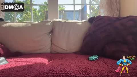 doodleman2077 online show from October 7, 9:56 pm