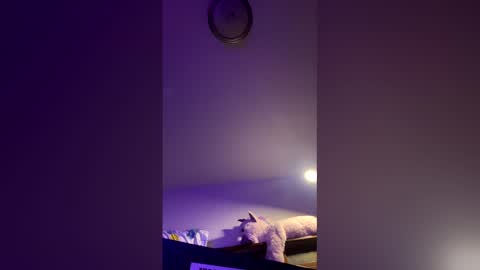 doodlez224472 online show from April 16, 1:56 pm