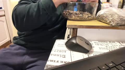 menu  below online show from January 1, 12:00 am