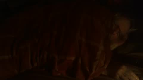 Snapshot of dorsetbiker714 chatting on December 25, 9:33 pm Hello welcome to Slutsville I am the Naked Chef really but you may call me Peter online show from December 25, 9:33 pm