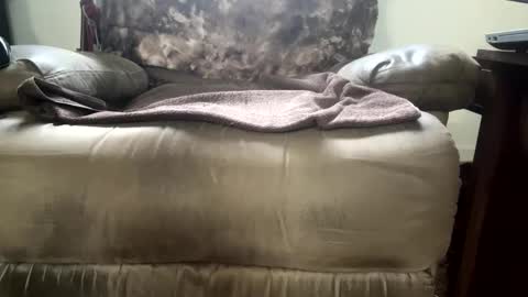 Snapshot of dotcom0063 chatting on November 15, 6:26 pm dotcom0062 online show from November 15, 6:26 pm