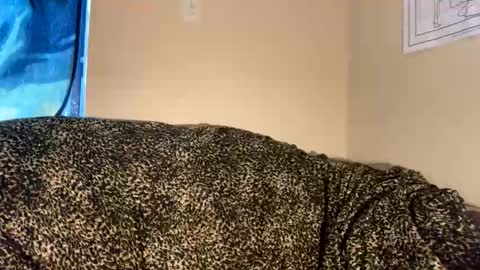 Snapshot of dove_love22 chatting on November 30, 9:19 pm dove_love22 online show from November 30, 9:19 pm