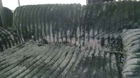 Draya Nicole online show from March 9, 11:25 am