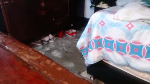 dreamreal online show from February 23, 11:22 am