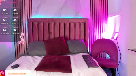 Snapshot of dreammatell_ chatting on January 23, 3:05 am Dream Matell online show from January 23, 3:05 am