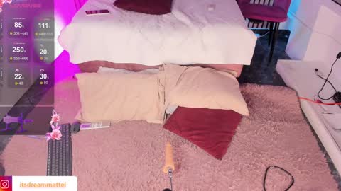 Snapshot of dreammatell_ chatting on January 24, 3:43 am Dream Matell online show from January 24, 3:43 am