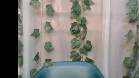 linda online show from September 13, 12:27 pm