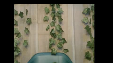 linda online show from October 26, 11:31 pm