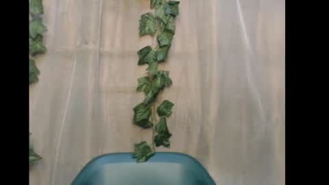 linda online show from December 15, 10:52 am