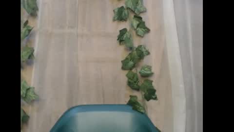 linda online show from December 21, 12:18 am