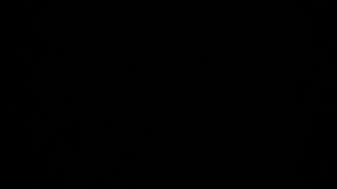 Dreamie online show from December 5, 4:53 am