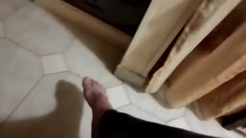 dthedog12 online show from November 8, 10:30 pm