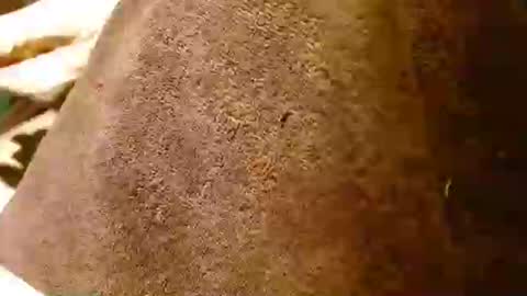 dunany101 online show from January 28, 12:57 am