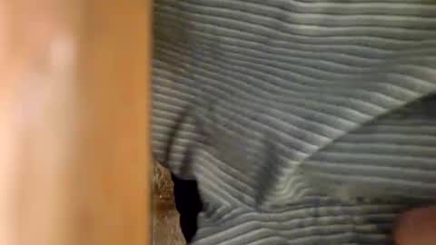 Snapshot of dvelope chatting on January 6, 9:30 am dVe1oPe online show from January 6, 9:30 am