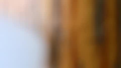 Snapshot of dvelope chatting on October 14, 9:21 am dVe1oPe online show from October 14, 9:21 am