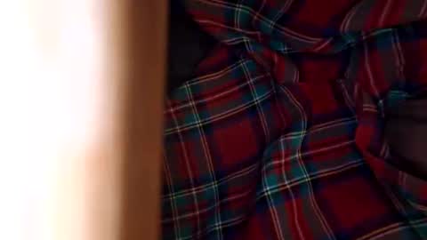 Snapshot of dvelope chatting on November 8, 11:10 am dVe1oPe online show from November 8, 11:10 am