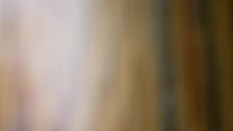 Snapshot of dvelope chatting on November 10, 11:09 am dVe1oPe online show from November 10, 11:09 am