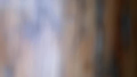 Snapshot of dvelope chatting on November 26, 9:54 am dVe1oPe online show from November 26, 9:54 am