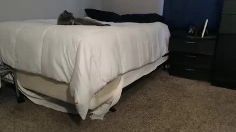 Snapshot of dwhitey4u chatting on November 2, 8:00 pm dwhitey4u online show from November 2, 8:00 pm