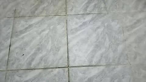 dxb11111 online show from January 6, 6:39 am