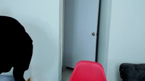 Dylan Taylor online show from October 5, 4:00 am