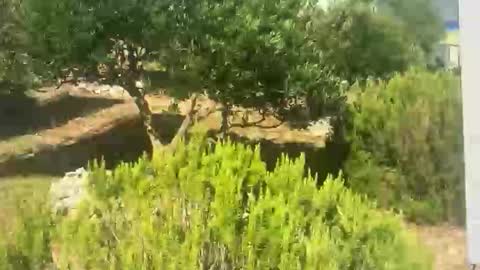 Snapshot of ebnk15 chatting on September 30, 8:08 am ebnk15 online show from September 30, 8:08 am