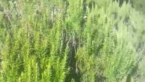 Snapshot of ebnk15 chatting on October 21, 1:12 pm ebnk15 online show from October 21, 1:12 pm