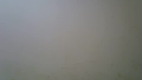 Snapshot of ebonyfire99 chatting on October 5, 7:56 pm ebonyfire99 online show from October 5, 7:56 pm