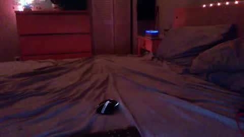 Snapshot of edgymaster chatting on December 17, 2:17 am Steven online show from December 17, 2:17 am