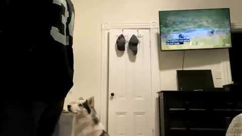 Snapshot of edvmendez1766 chatting on October 27, 5:33 am edvmendez1766 online show from October 27, 5:33 am