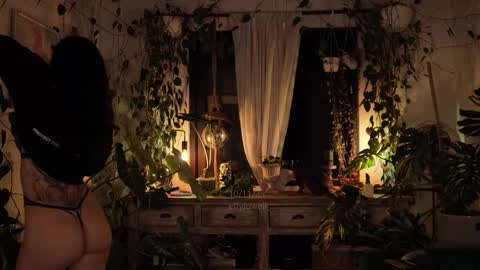 Snapshot of effylowell_ chatting on November 11, 12:10 am Effy online show from November 11, 12:10 am