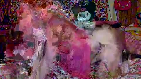 Sparkly Haile online show from February 18, 3:42 am