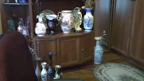 ElenaZed online show from September 13, 10:15 am