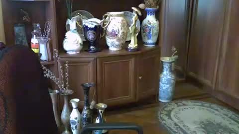 ElenaZed online show from October 13, 11:43 am