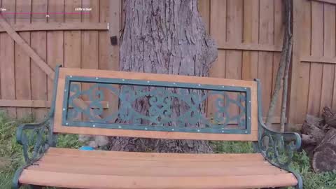 Ella Bella Bo Bella online show from September 13, 5:13 pm