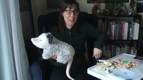 Snapshot of ellynaomi chatting on January 31, 4:38 pm Elly Naomi online show from January 31, 4:38 pm