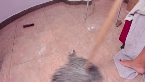 EloiseQuinn online show from January 25, 3:30 pm